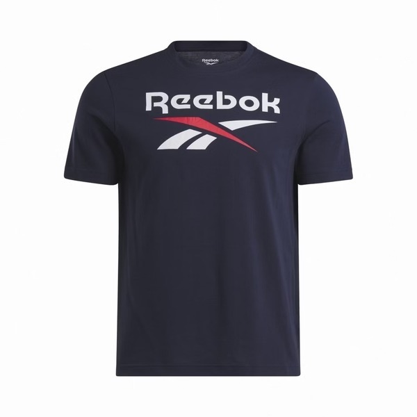 Reebok Identity Big Logo Tee [100037051] 男 短袖上衣 T恤 深藍