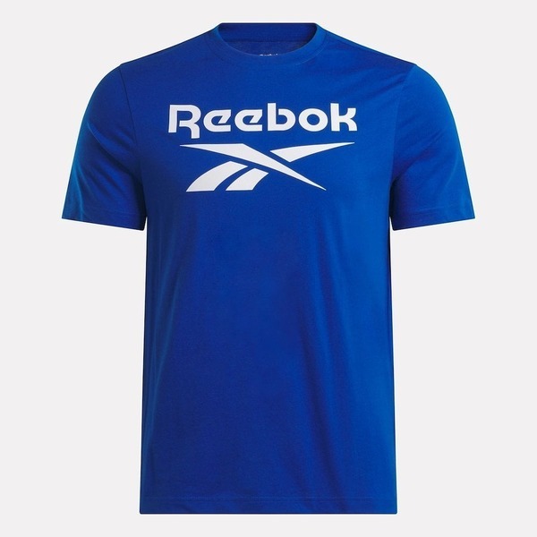 Reebok Identity Big Logo Tee [100206029]男 T恤 柔軟 短袖上衣 舒適 藍