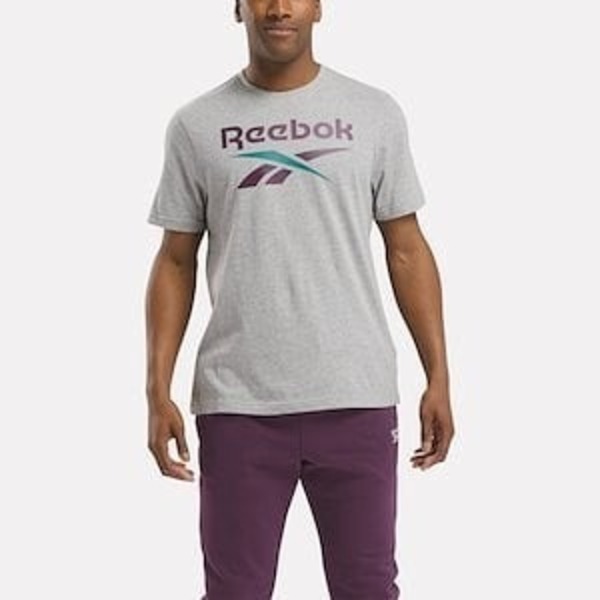 Reebok Identity Big Logo Tee [100206031] 男 T恤 柔軟 短袖上衣 舒適 灰