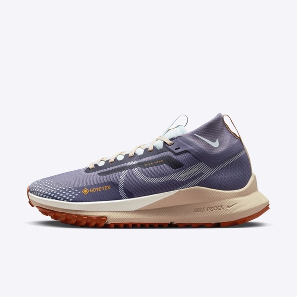 Nike Pegasus Trail 4 Gore-TEX [DJ7929-502] Women Outdoors