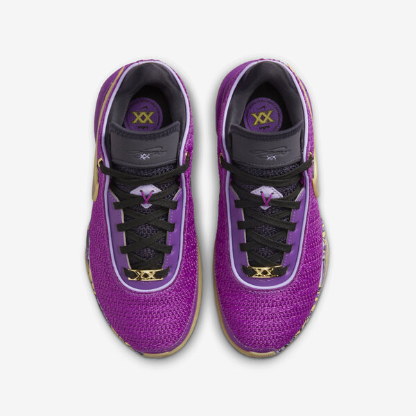 Nike Lebron XX SE GS [FD0207-500] Kids Basketball Shoes Vivid Purple/Gold