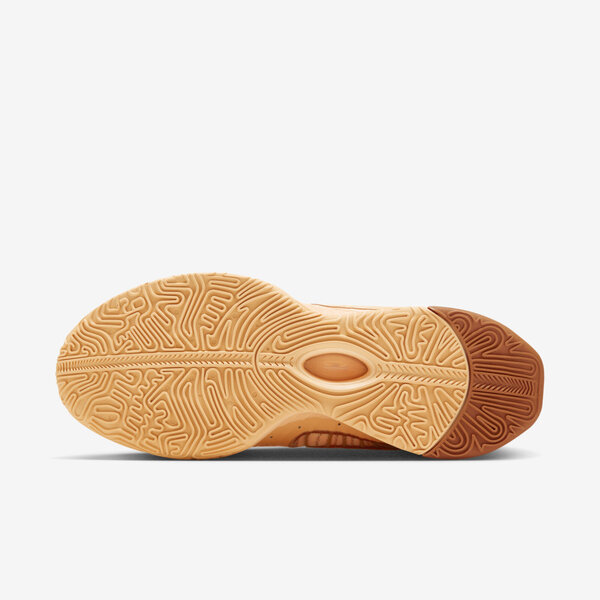 ◆正規品◆NIKE LEBRON 21 EP LLIC GOLD◆関税/送料込◆人気 Nike x 'The Shop' Lebron 21 XXI EP 
