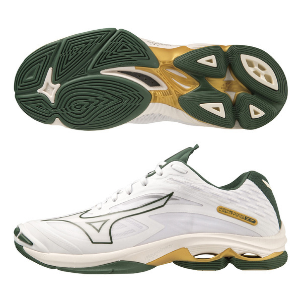 ウンガロ Running shoes Mizuno WAVE IBUKI 4 GTX - Top4Running.com