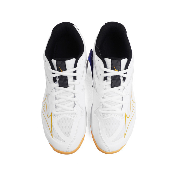 Mizuno Thunder Blade Z [V1GA237010] Men Women Volleyball